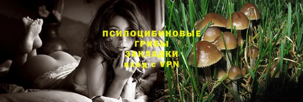 скорость mdpv Осташков