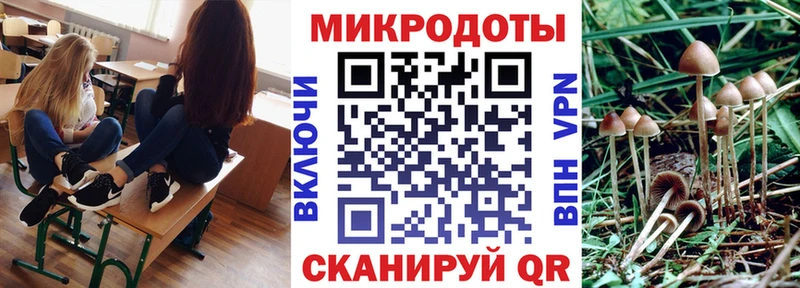 Псилоцибиновые грибы мухоморы  Болохово 